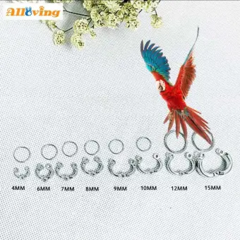 Alloving 2 Pcs Set Parrot Cincin Kaki Alloy Outdoor Terbang