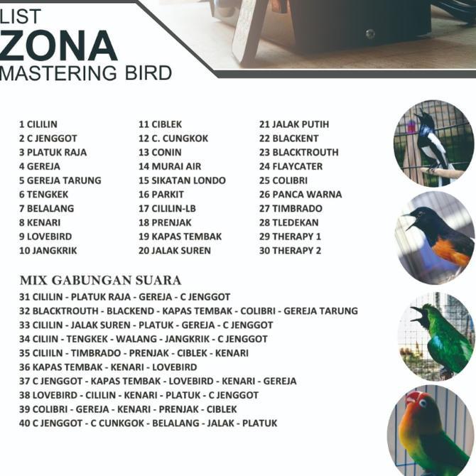 Terbaik Alat Pemasteran Burung Mp3 Burung Suara Burung Sonic