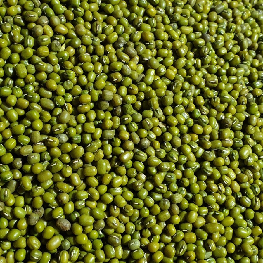 Kacang Ijo Kacang Hijau 25kg | Lazada I…