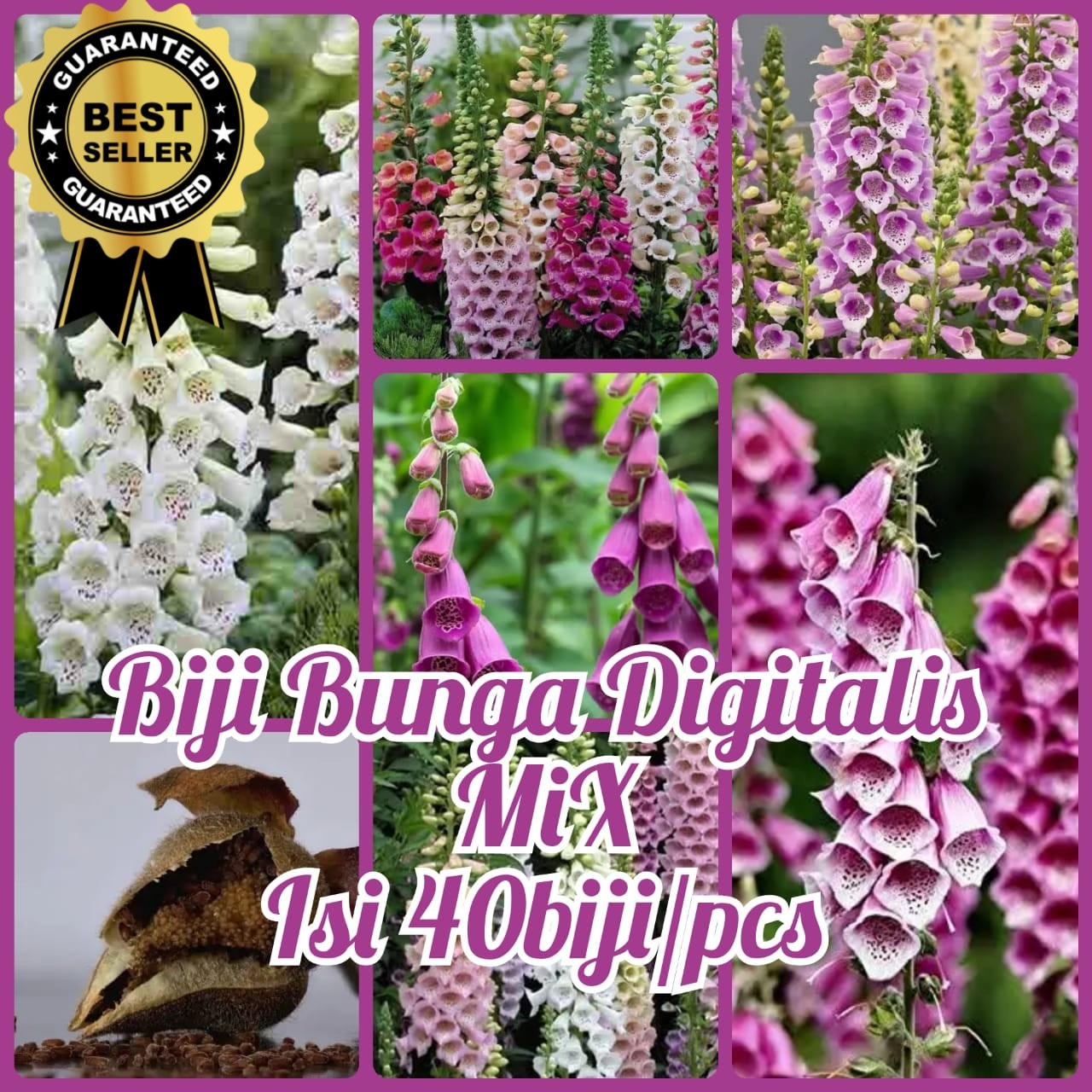 Biji Bunga Digitalis Purpurea Foxglove Isi 40 Pcs Flower Seeds Benih ...