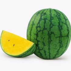 Amefurashi Benih Bibit Buah Semangka Kuning Manis