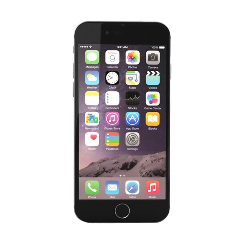Apple iPhone 6 - 64 GB - Gray