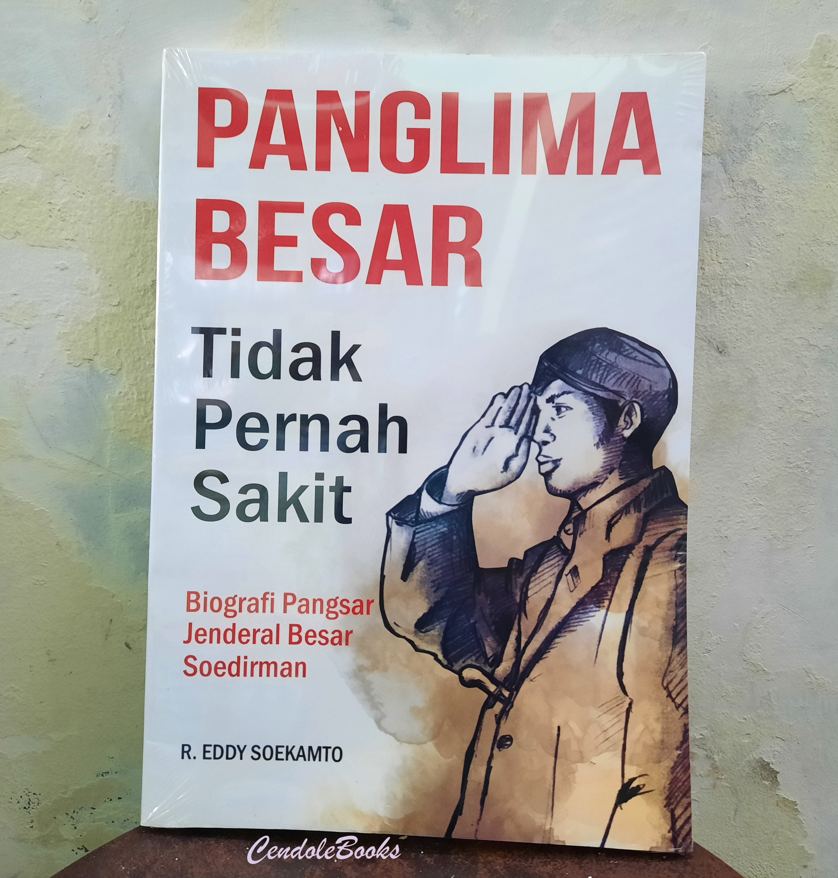 Buku Panglima Besar Tidak Pernah Sakit : Biografi Pangsar Jenderal ...