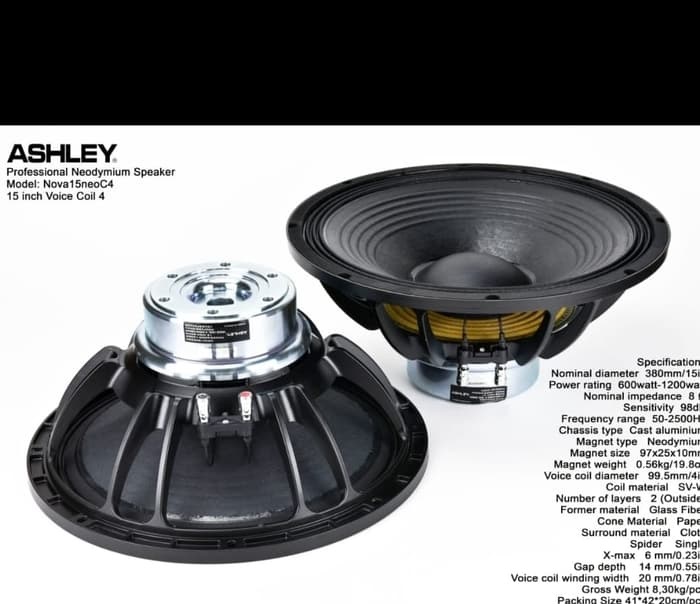 speaker ashley 10 inch neodymium