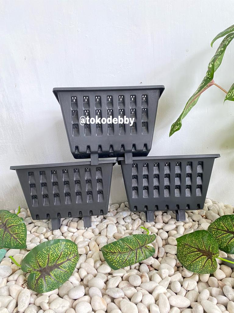 Pot Dinding Merambat Plastik Tempel Argo | Lazada Indonesia