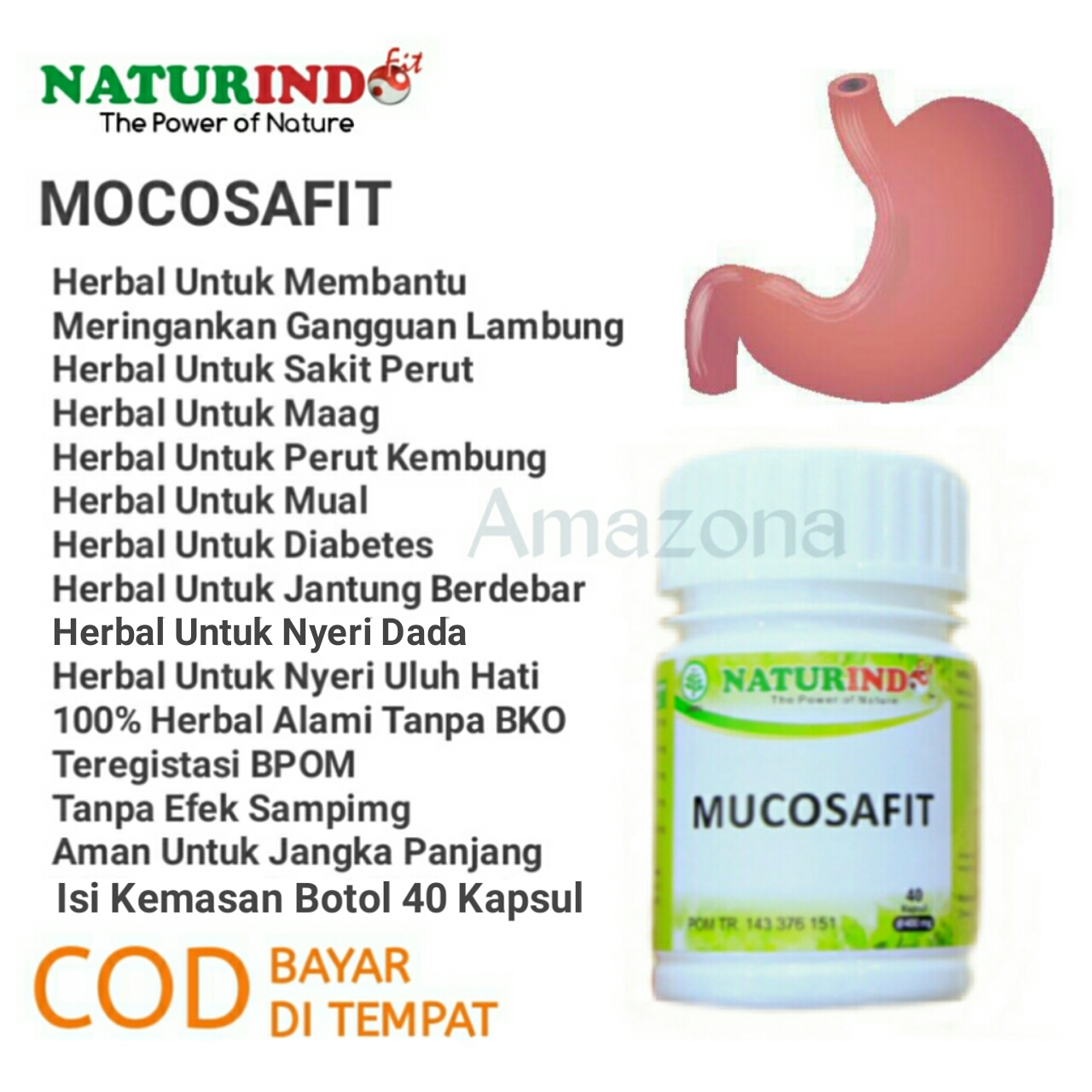 Obat Herbal Asam Lambung Maag Magh Kolesterol Diabetes Jantung Ampuh Alami Naturindo Lazada Indonesia