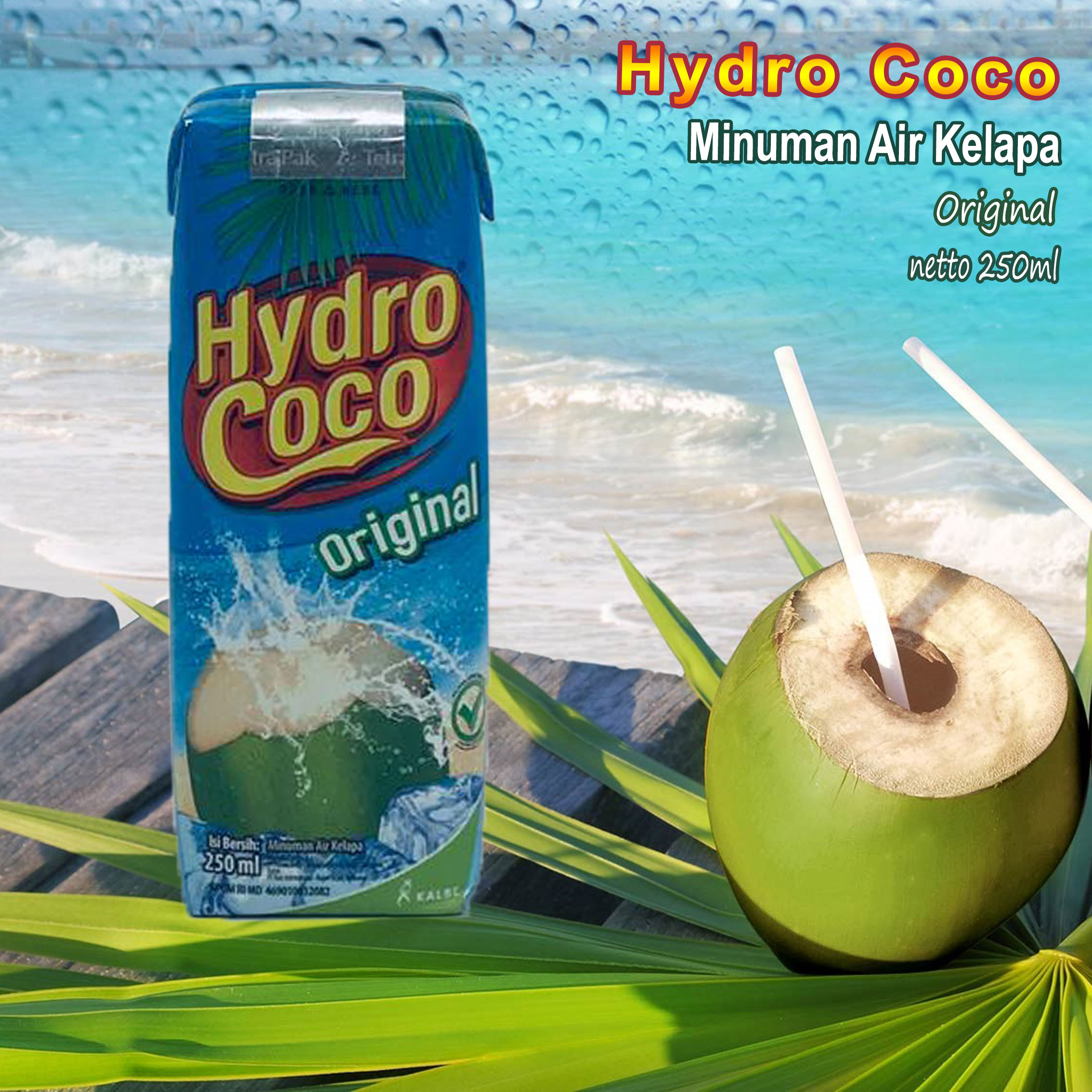 Hydro Coco Minuman Air Kelapa Original 250ml Lazada Indonesia 6696