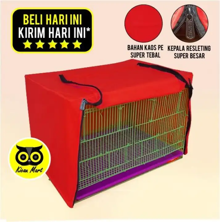 Anwar Love Bird Kedung Mangu 9 7 Daerah Jalan Randu Kenjeran Surabaya Surabaya 2020