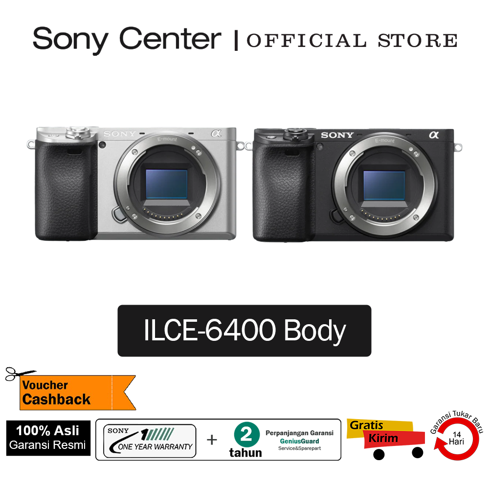 Sony A6100 Vs Sony A6600 Vs A6000 Sony A6600 A6100 Vs A6500 A6600