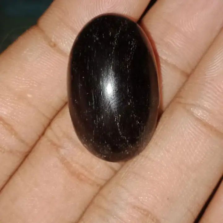 Fosil Kelor Serat Emas 01 Lazada Indonesia