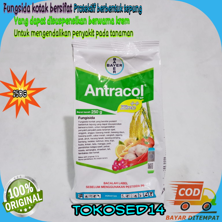Antracol 250 Gr Antracol Fungisida Tanaman Antrakol Pembasmi Jamur Tanaman Anti Jamur Tanaman Antracol Aglonema Lazada Indonesia