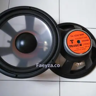 speaker 12 inch 300 watt
