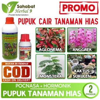 Pupuk Tanaman Hias Pot Pupuk Tanaman Bunga Aglonema Monstera Anggrek Kaktus Sukulen Lidah Mertua Poc Nasa Hormonik Pupuk Organik Cair Lazada Indonesia