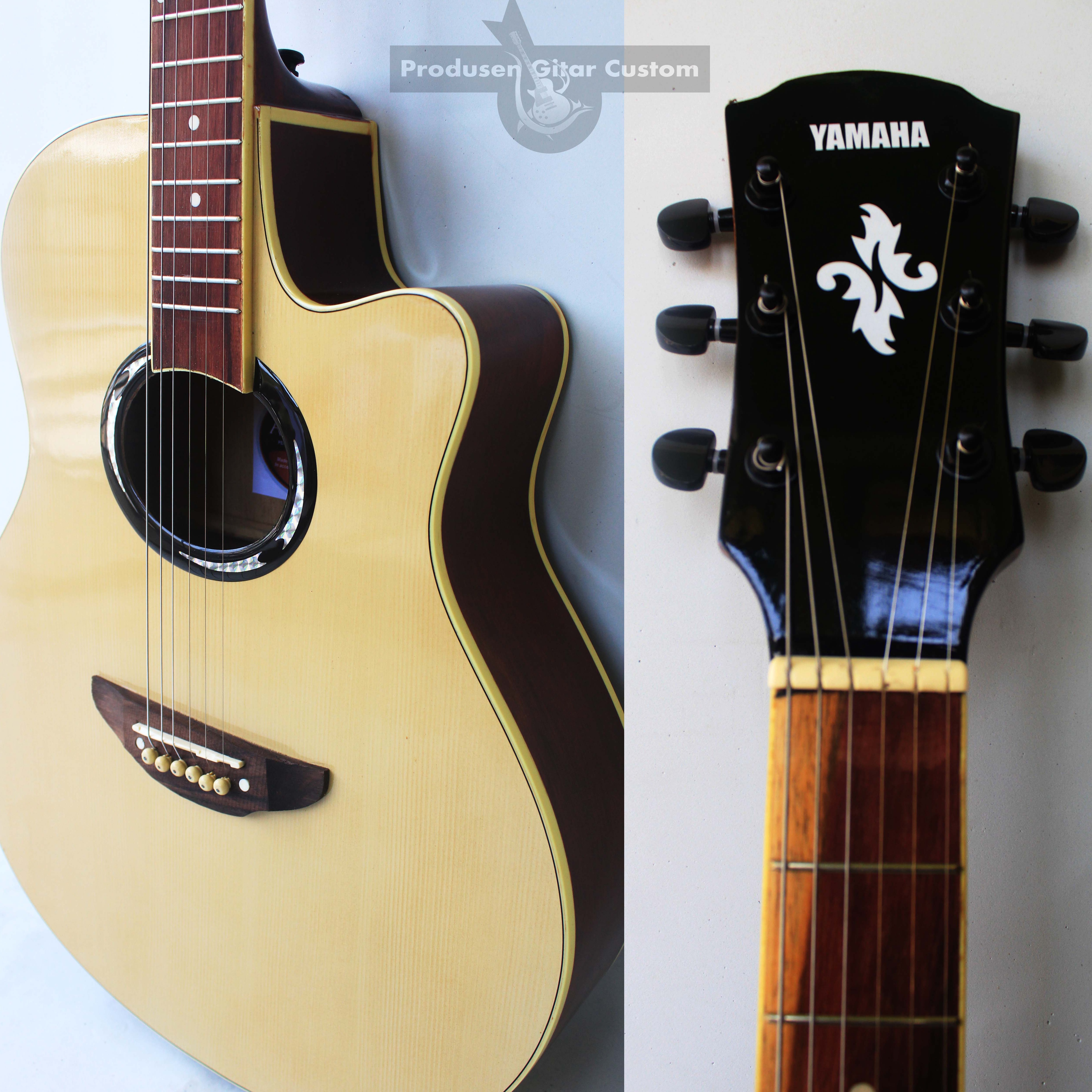 Yamaha apx500ii deals custom