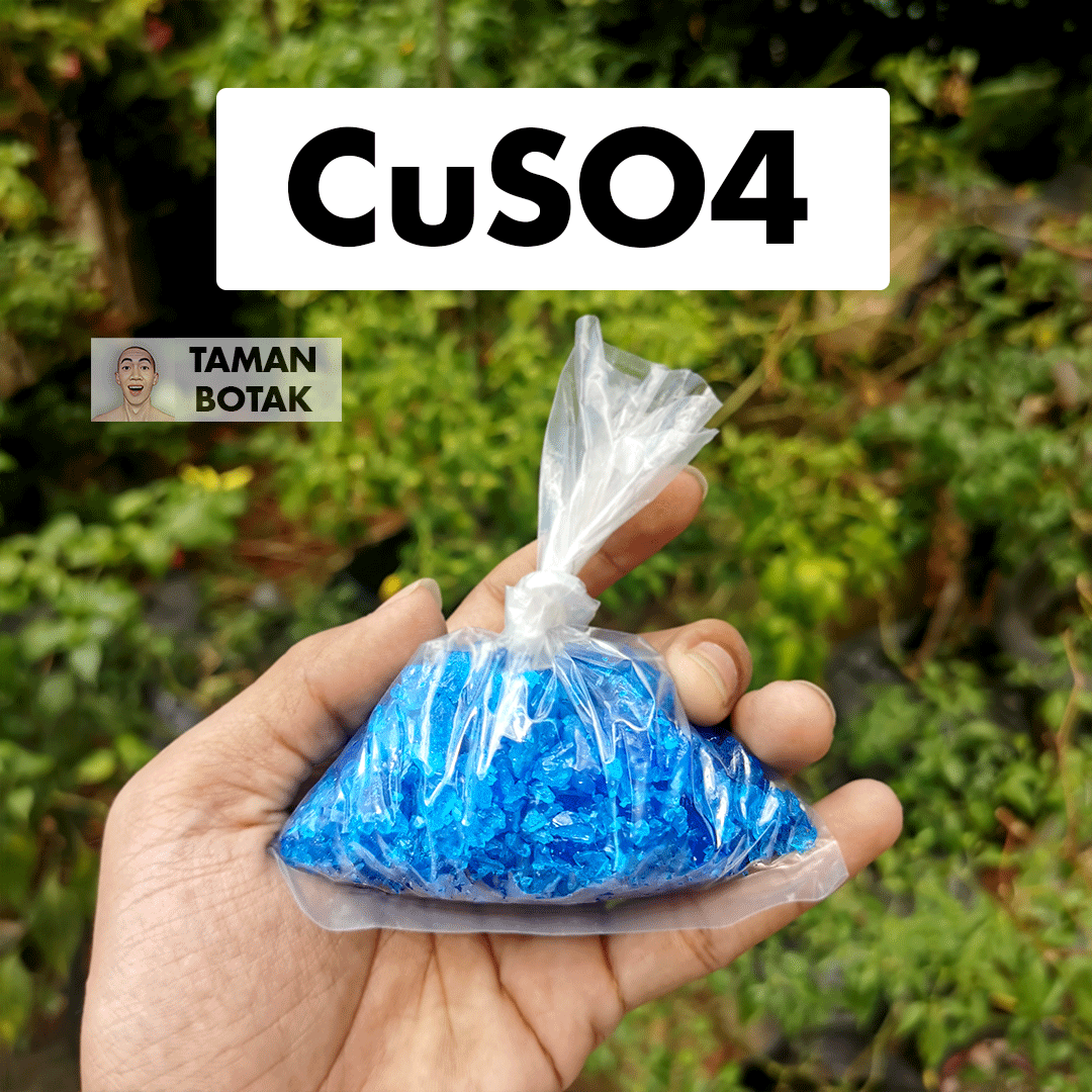 Terusi Fungisida Komprehensif CuSO4 Copper Sulfate | Lazada Indonesia