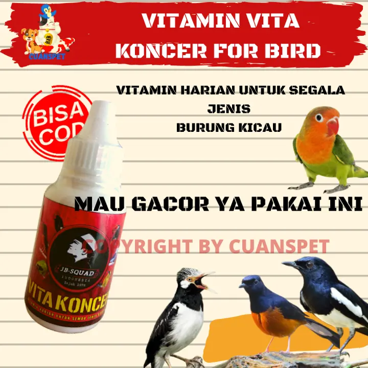 Promo Cod Vita Koncer Vitamin Burung Kicau Terbaik Makanan Burung Cocok Untuk Segala Jenis Burung Kicau Love Bird Lovebird Murai Batu Jalak Suren Kebo Kacer Dll Lazada Indonesia