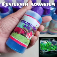 Membuat air aquarium sebening kristal