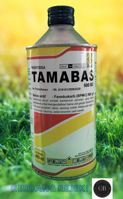 Kesik olib chiqmasdan ogizda tugaydi Sperma qabilasi