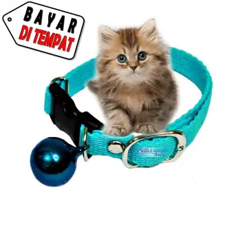 Kalung Hewan Kucing Anjing Kelinci Musang Polos Lonceng Lucu Imut