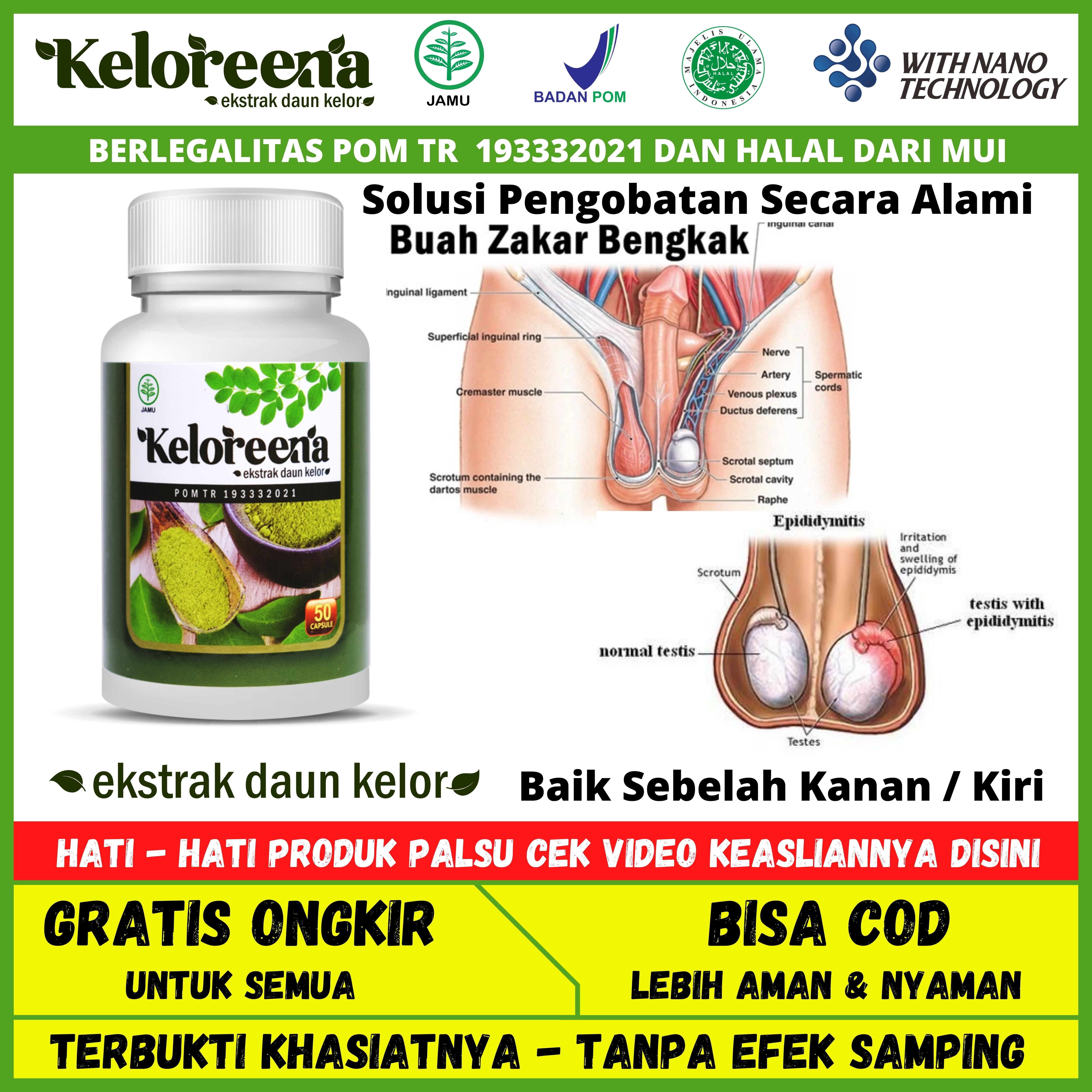 Obat Buah Zakar Bengkak Sebelah Kiri Dan Kanan Ampuh Shopee Indonesia