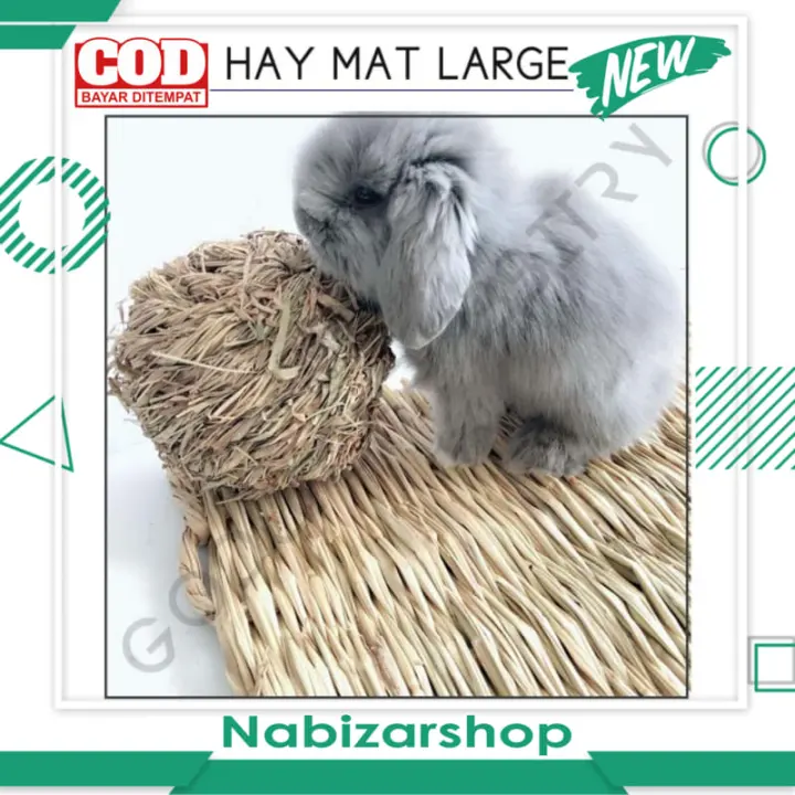 PROMO !!! Hay Mat Large / Alas Kandang Rumput ukuran Besar BISA