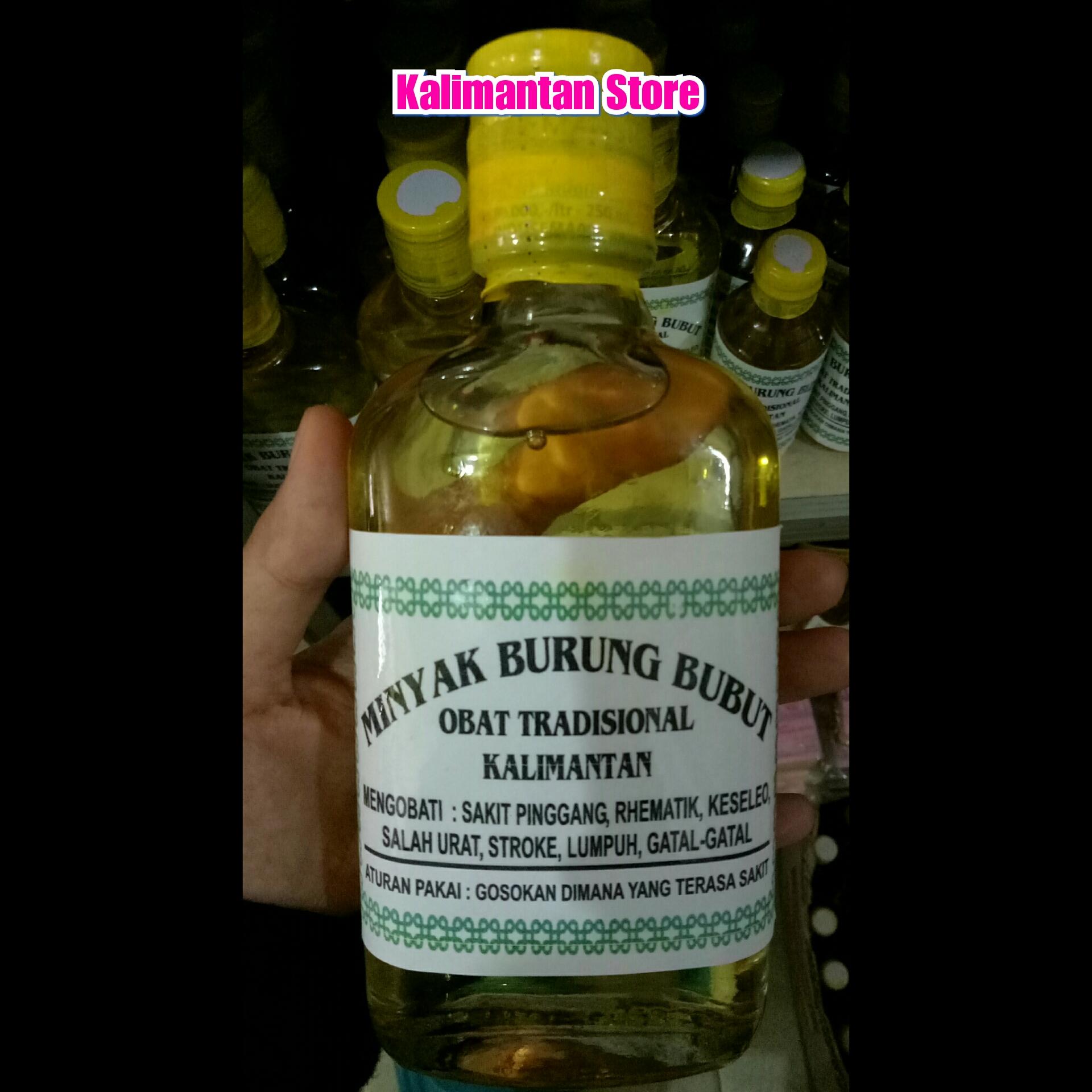 Minyak Pijat Burung Bubut Asli Kalimantan Lazada Indonesia