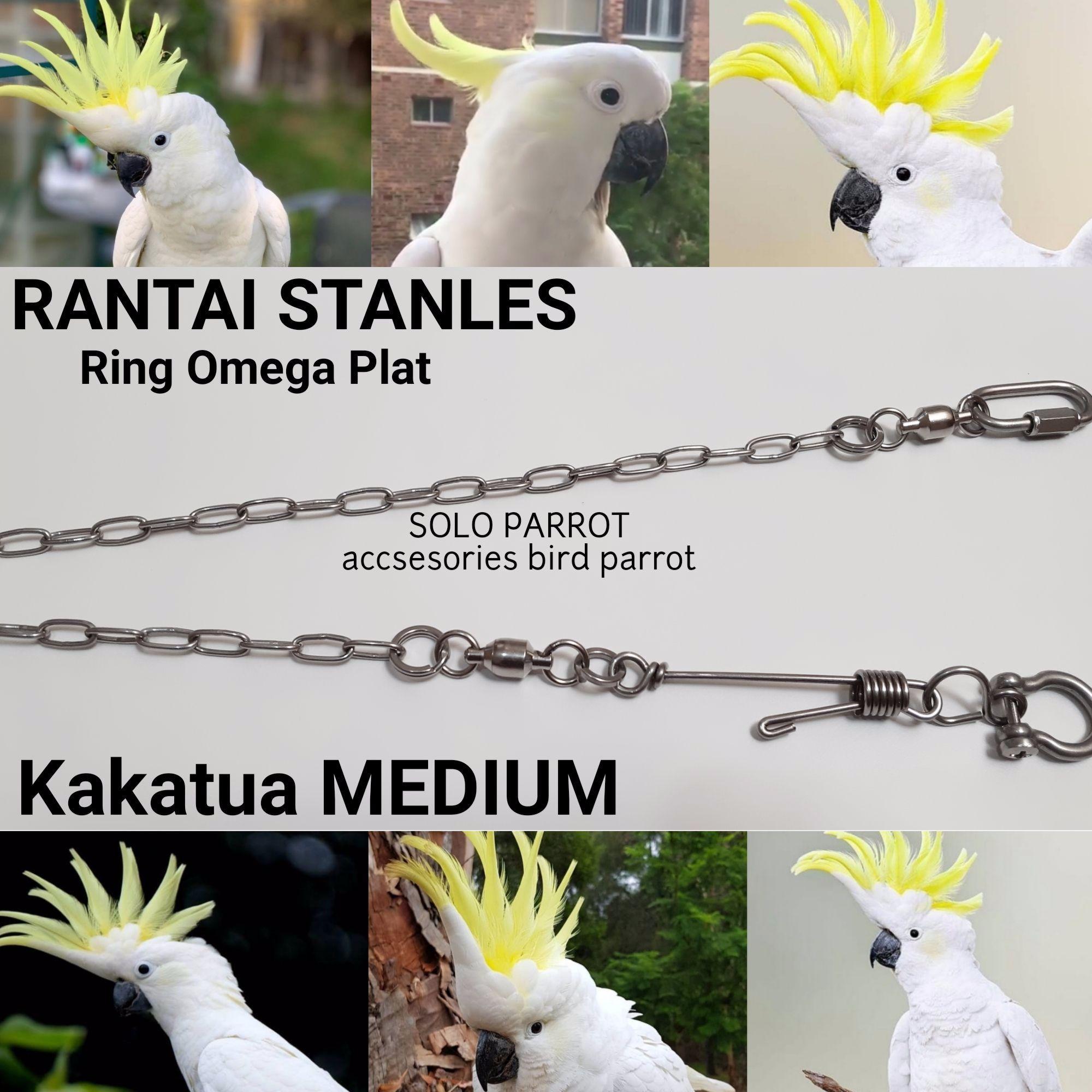 Rantai Burung Kakatua Jambul Kuning Ring Omega Lazada Indonesia