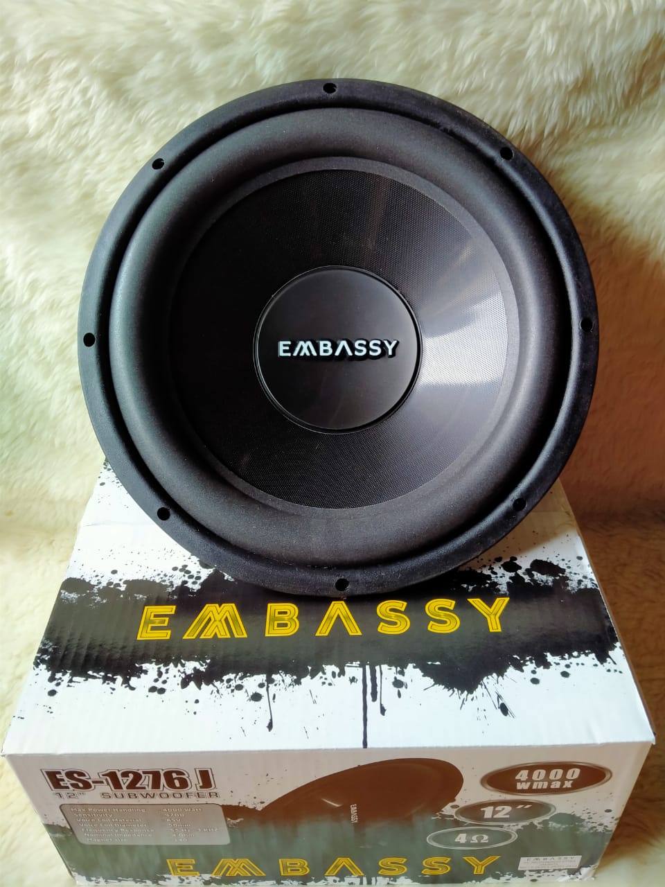 speaker subwoofer 12 inch embassy