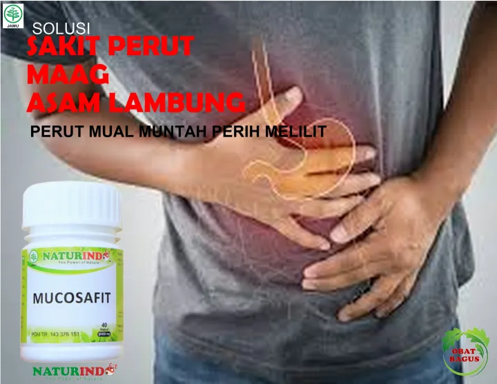Obat Herbal Sakit Perut Sebelah Kiri Bawah Qnc Jelly Gamat Lazada Indonesia