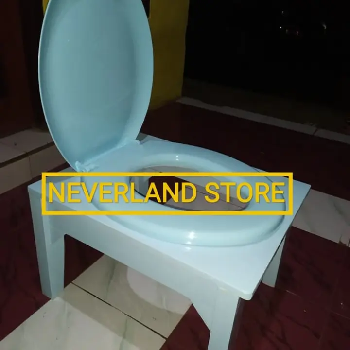 Kursi Toilet Wc Duduk Portable Biru Lazada Indonesia Kursi Toilet Wc Duduk Portable Biru Lazada Indonesia