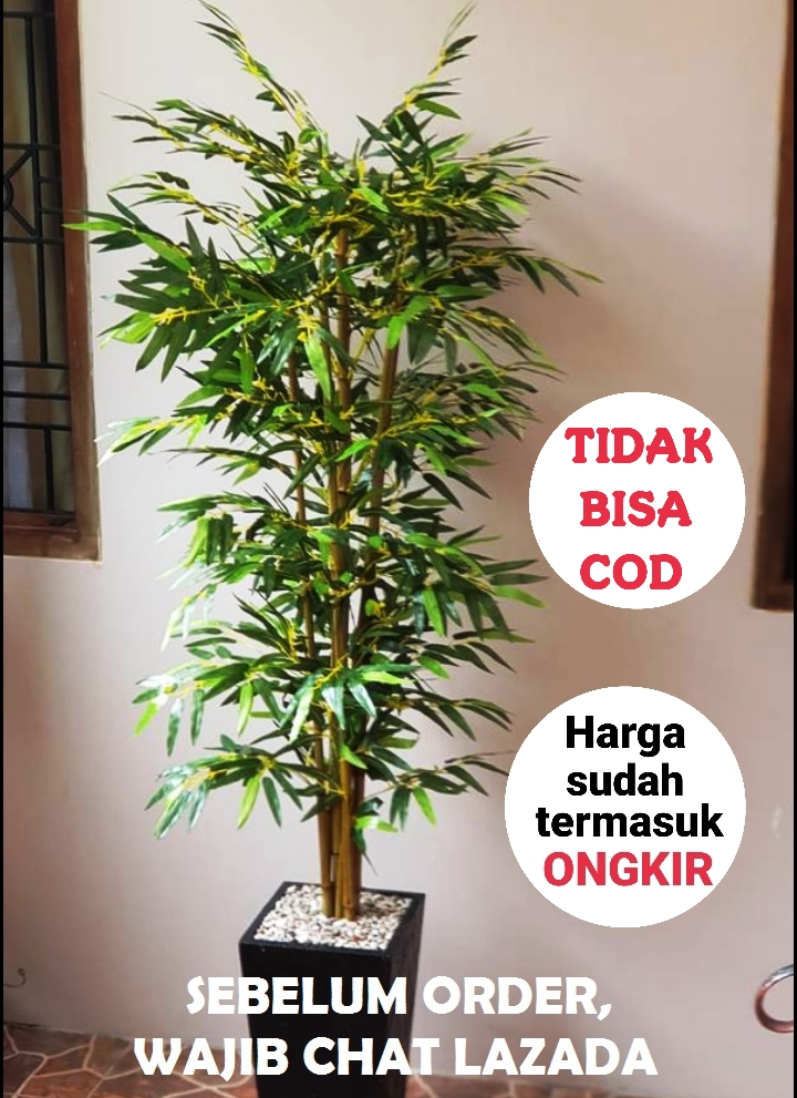 Termurah Pohon Bambu Plastik Artificial Palsu Tinggi 120 Cm Pohon Hias Plastik Pohon Plastik Besar Bunga Plastik Pohon Sudut Dekorasi Rumah Dekorasi Ruang Hiasan Ruang Tamu Lazada Indonesia