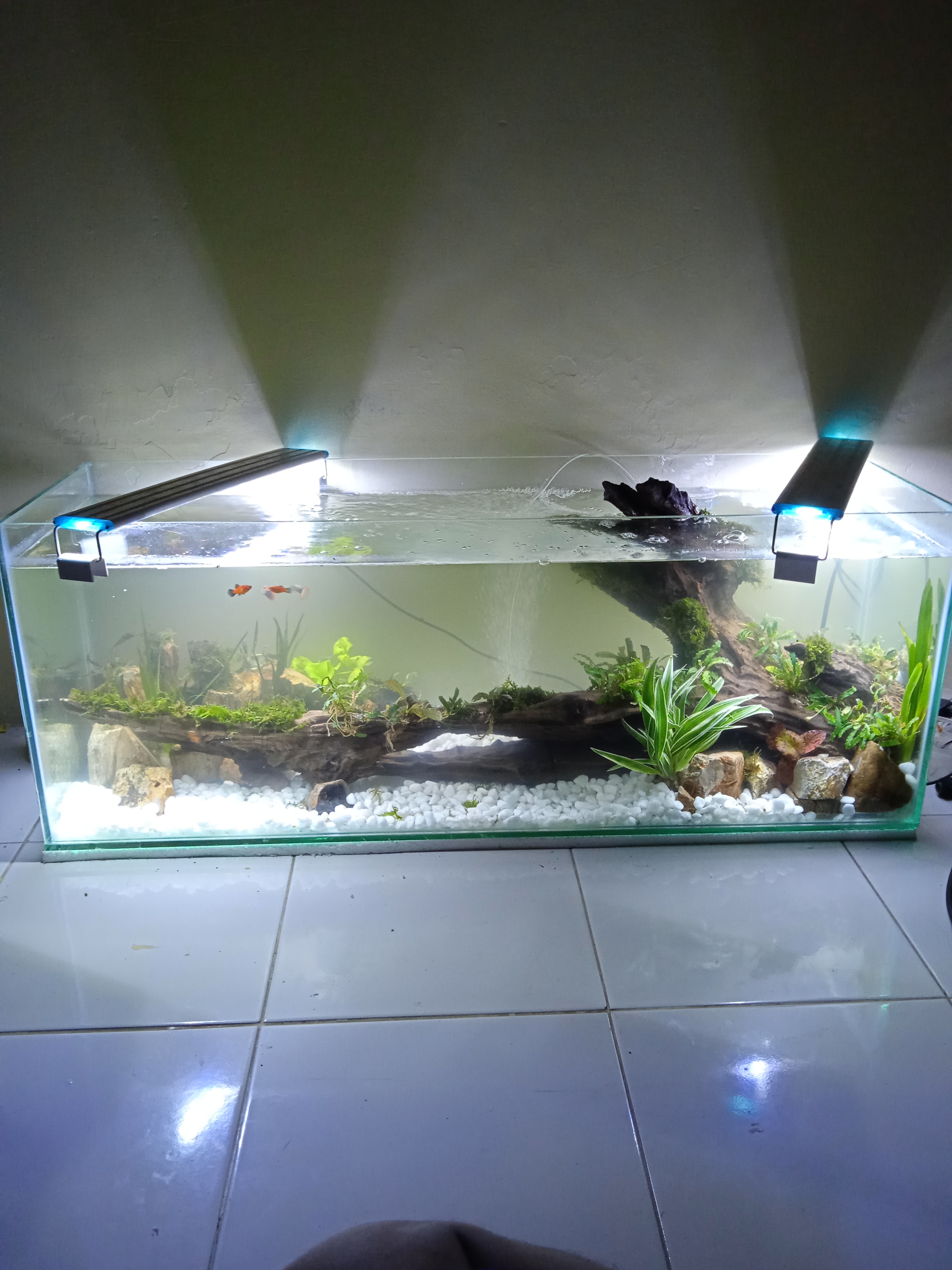 Aquascape 1 Meter Fullset Lazada Indonesia Aquarium panjang 1 meter