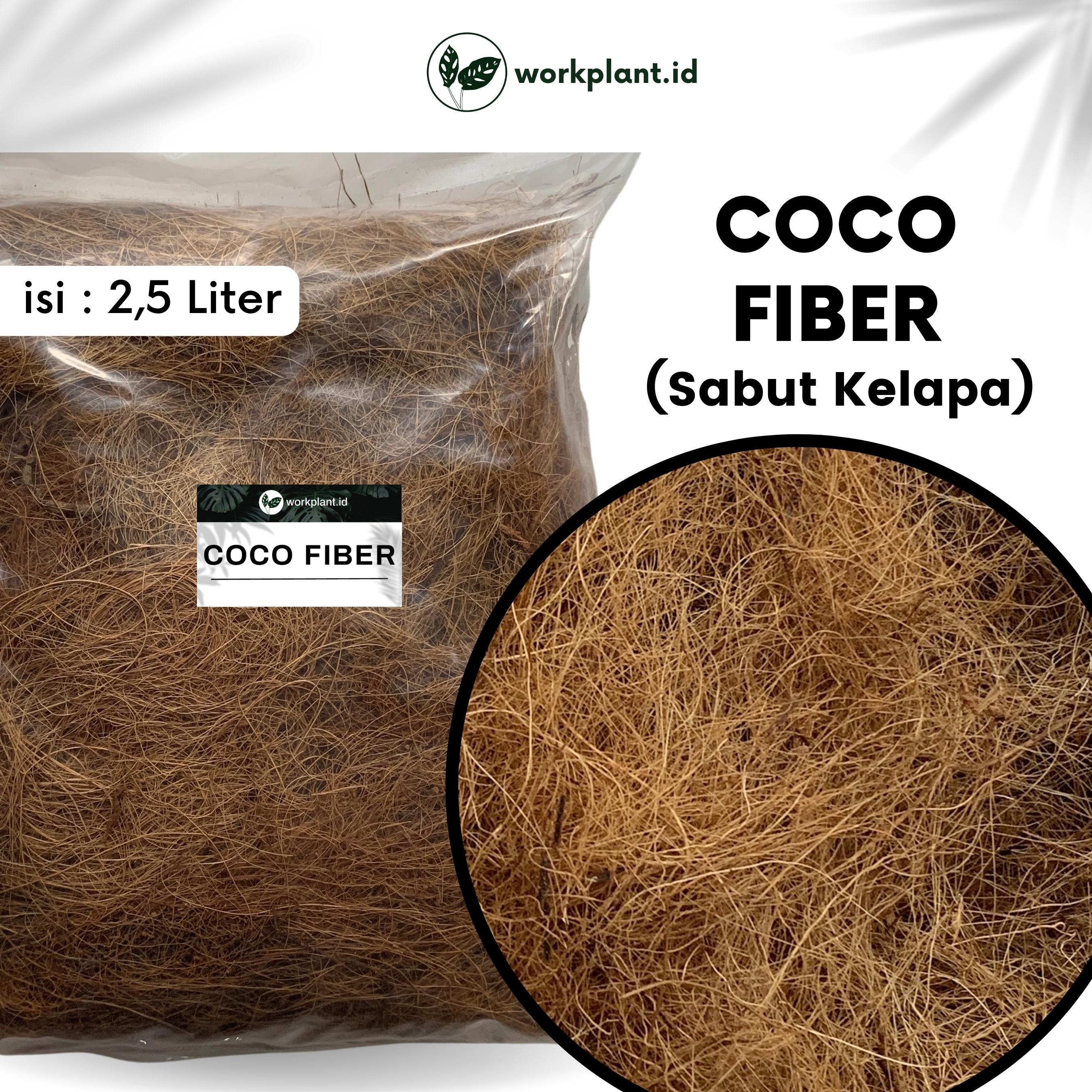 Coco Fiber Sabut Kelapa Bebas Tanin Media Tanam Tanaman Lazada Indonesia