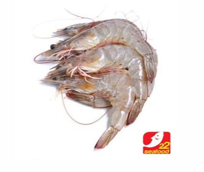 Udang Jerbung 500 gram / White Shrimp / Seafood 22 | Lazada Indonesia