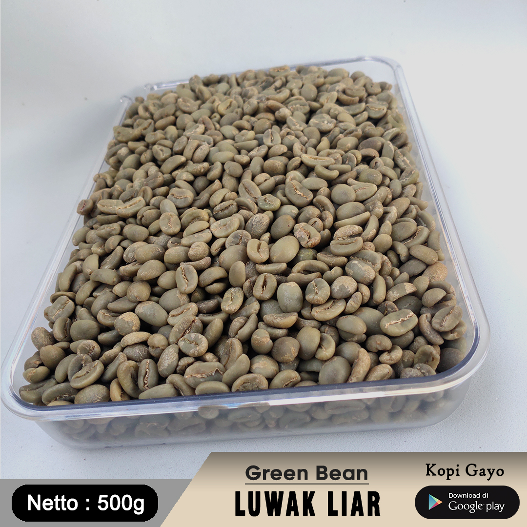 Biji Kopi Luwak Liar Arabika Gayo Aceh 500g-Green Bean Grade 1-AZA Coffee |  Lazada Indonesia