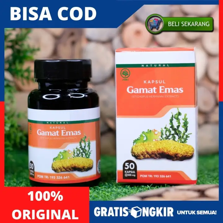 Obat Penyembuhan Hepatitis B Obat Virus Hepatitis B Hepatitis Akut Hepatitis Krnonis Ramuan Penyakit Hepatitis Infeksi Pembengkakan Hati Peradangan Hati Obat Herbal Penyakit Kuning Dgn Gamat Emas Kapsul 100 Original Lazada Indonesia