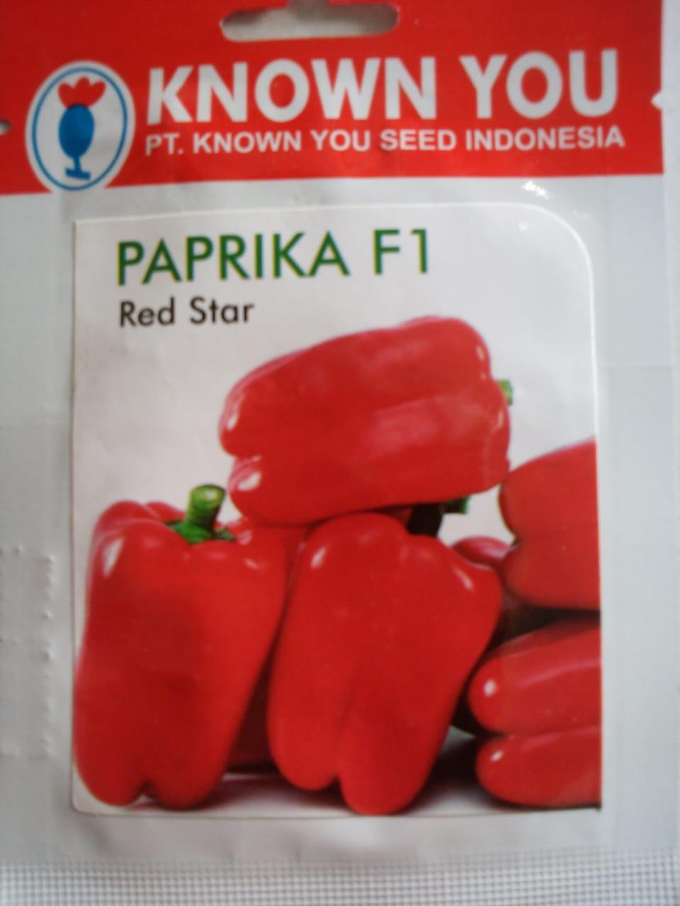 Benih Biji Bibit Paprika f1 Red Star Known You Seed