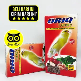 Pakan Makanan Harian Burung Kenari Blackthroat Sanger Branjangan