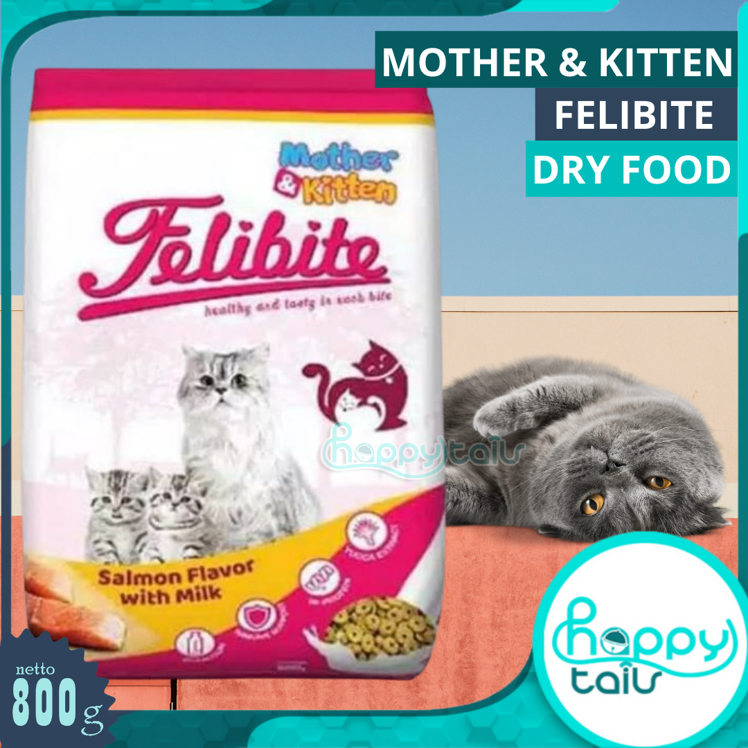 felibite dry food kitten