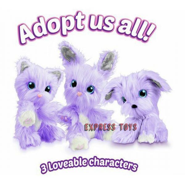 scruff a luv lilac