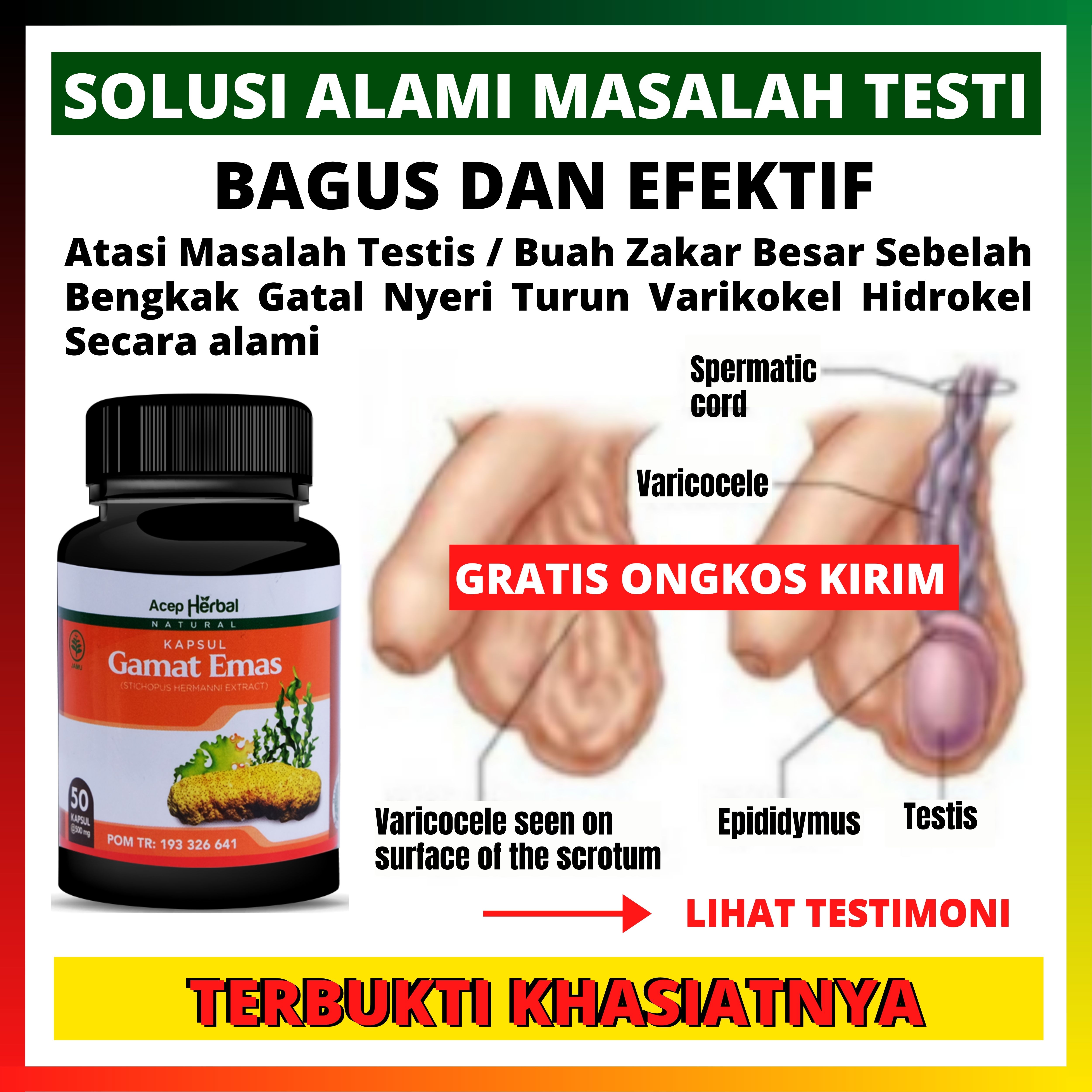 Obat Testis Besar Sebelah Obat Testis Nyeri Obat Testis Bengkak Obat Buah Zakar Turun Sebelah Obat Buah Zakar Bengkak Sebelah Kanan Kiri Obat Benjolan Di Buah Zakar Obat Buah Zakar Nyeri Obat