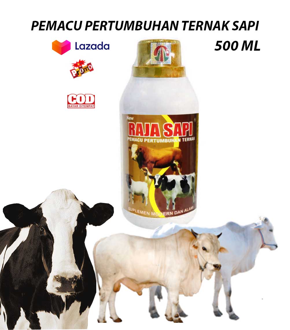 Obat Vitamin Sapi Raja Sapi 500 Ml Penggemuk Pemacu Pertumbuhan Ternak