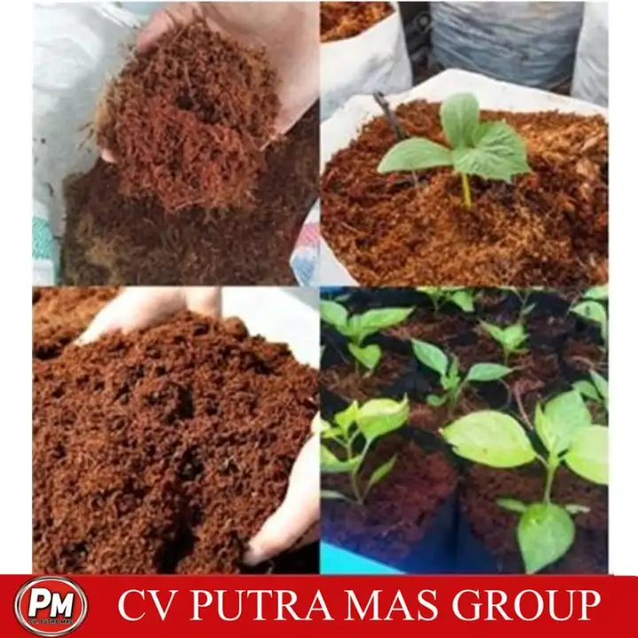 Media Sabut Kelapa Untuk Hidroponik Cocopeat 500gram Media Tanam Serbuk Sabut Kelapa Media Tanam Hidroponik Lazada Indonesia Check Spelling Or Type A New Query Tynretty59089s