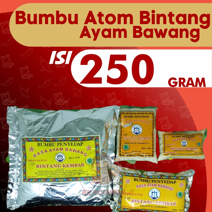 Bumbu Atom Bintang Kembar Rasa Ayam Bawang (250g) Bumbu Penyedap Rasa ...