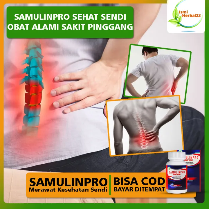 Obat Sakit Pinggang Encok Herbal Sakit Tulang Pinggul Tulang Ekor Obat Sakit Tulang Belakang Samulinpro Sehat Sendi Isi 100 Kapsul 100 Original Lazada Indonesia