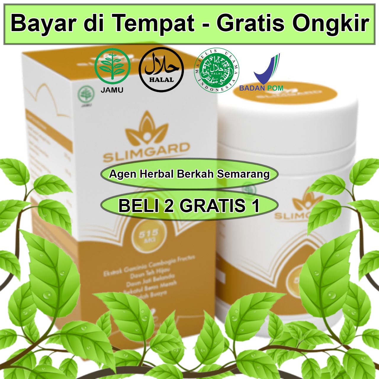 Download Obat Vitamin D Di Apotik Background