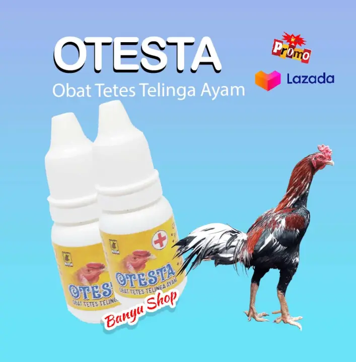 Jamu Yang Bagus Untuk Ayam Aduan Sebagai Penguat Tenaga Ayam Bangkok Aduan Makanan Dan Minuman Ayam Makanan Ayam