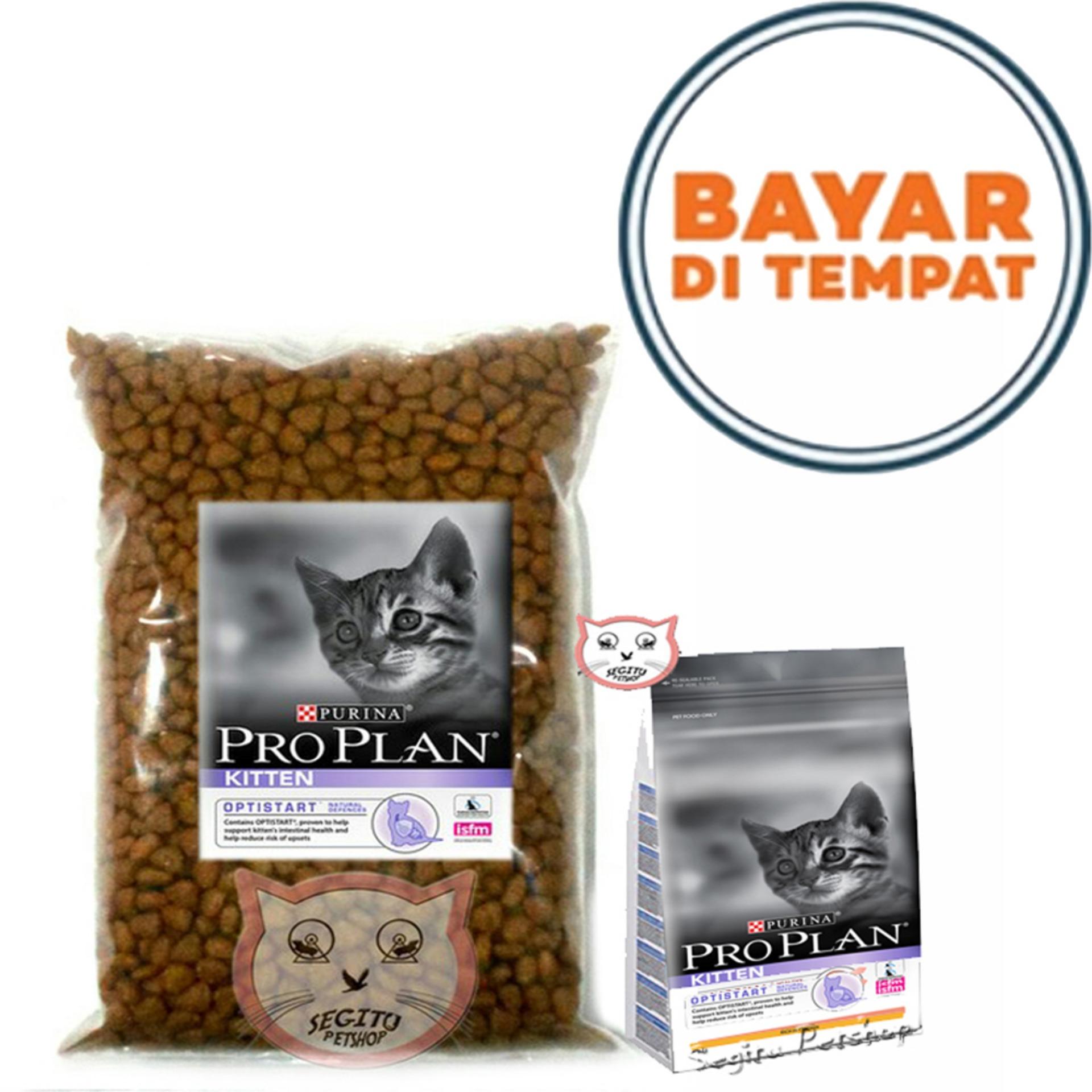 Pro plan kitten outlet harga