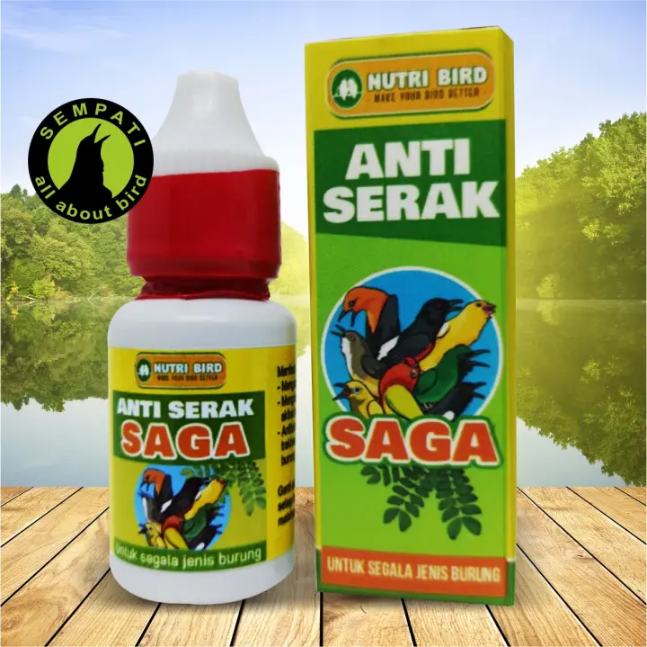 Smart Bionic Obat Burung Serak Paling Ampuh Smart Mastering