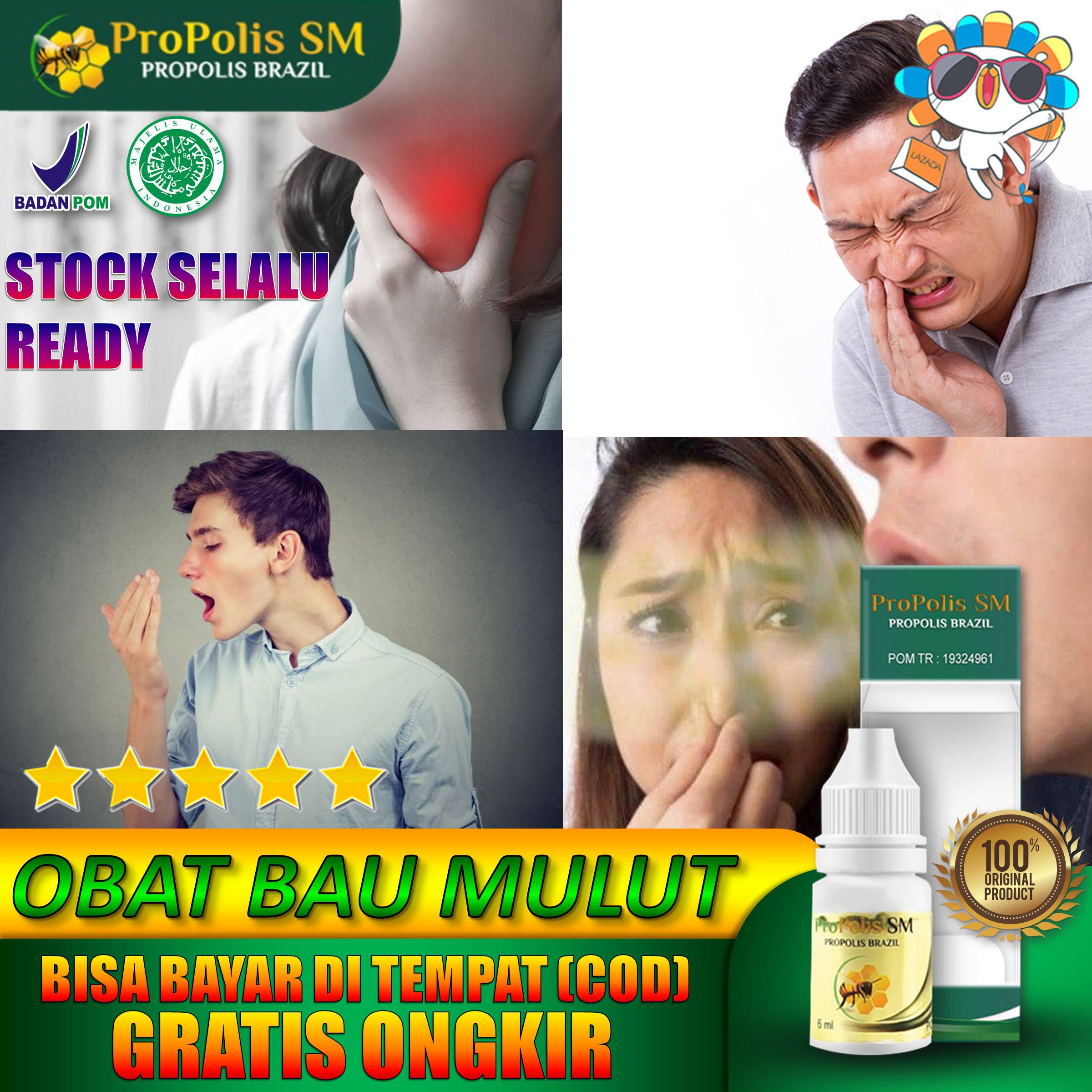 Jangan Abaikan 11 Bahaya Bau Bangkai Tikus Bagi Kesehatan Dijelas In